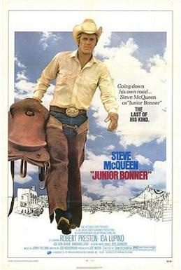 Movies to Watch If You Like Junior Bonner (1972)